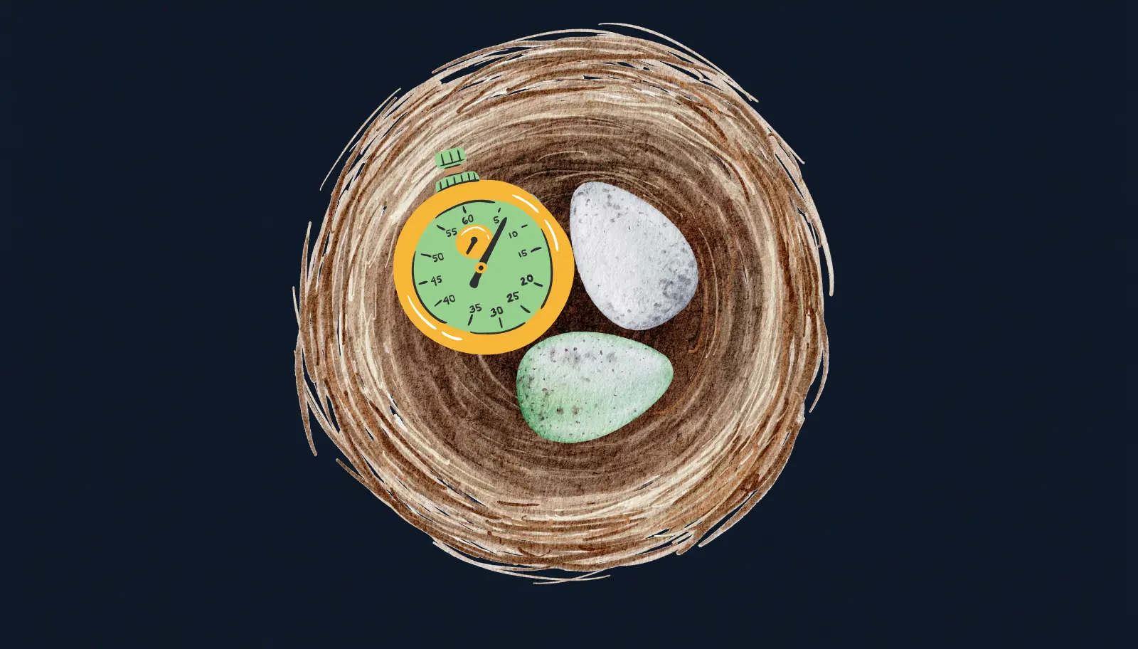 A stopwatch and two eggs in a nest, representing time and longevity risk in retirement